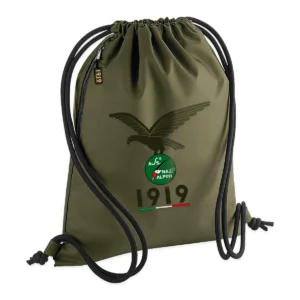 Sacca Orobica <br>Linea 1919